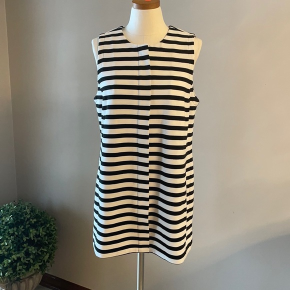 Chico's Dresses & Skirts - CHICOS sleeveless stripe mini tunic dress Crew neckline, hidden front zipper Med